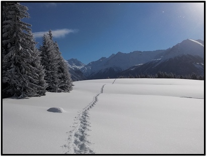 Lire la suite à propos de l’article Identifier les sites de montagne insuffisamment protégés (Mountain wilderness)