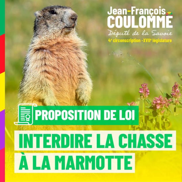 Lire la suite à propos de l’article Interdiction de la chasse à la marmotte sur le territoire français