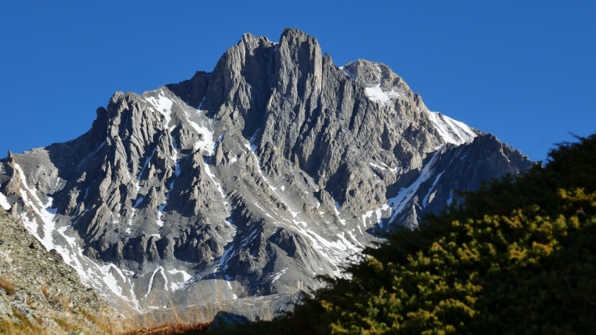 Lire la suite à propos de l’article Sauvegardons les parcs nationaux français et leur biodiversité exceptionnelle