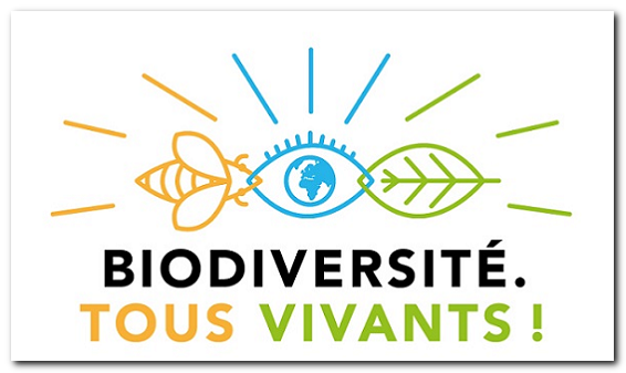 Lire la suite à propos de l’article Avis défavorable du CNPN portant sur la remise en activité de la carrière Saint Antoine (Modane)