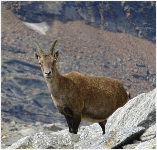 Lire la suite à propos de l’article Parc national de la Vanoise – Réunion sur la ressource en eau du 26 novembre 2025