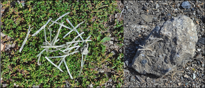 Lire la suite à propos de l’article La pollution au polypropylène s&rsquo;étend en Maurienne