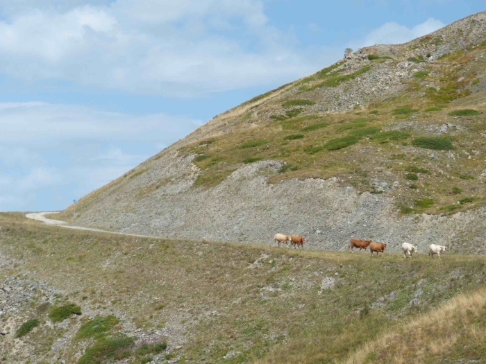 Une-autre-locomotion