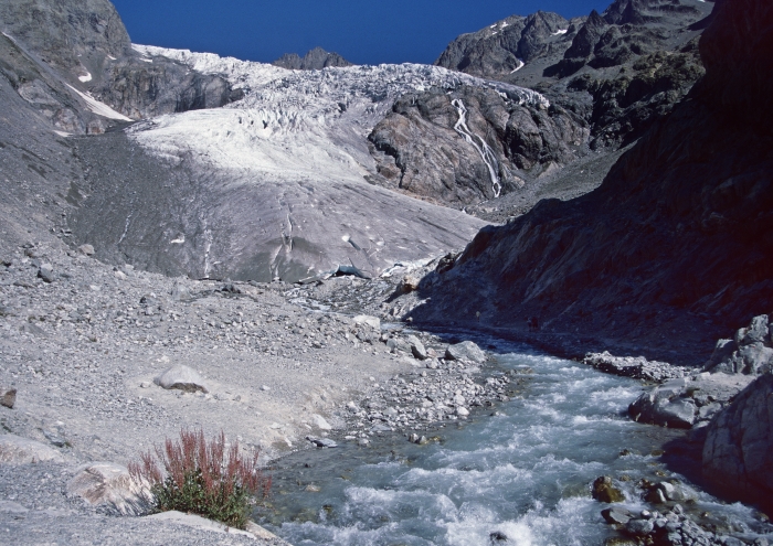 Glacier Blanc - août 1996